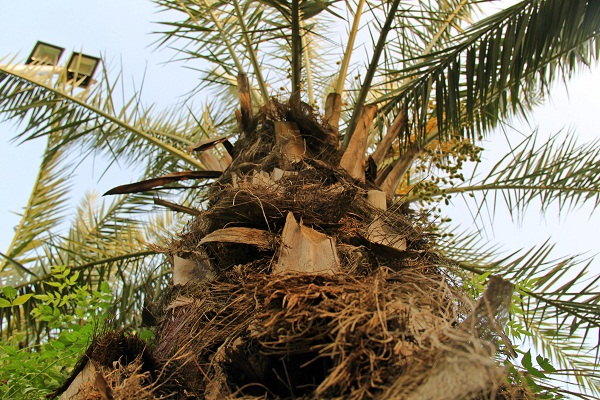 AM99 Medical and Health Complex